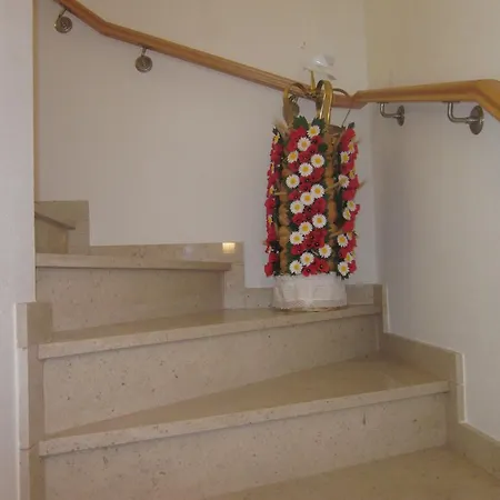 Casinha Da Pedra 펜션 토마르